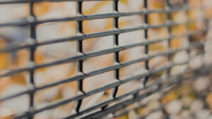 Tempe mother, grandmother arrested after death of girl they allegedly kept in cage