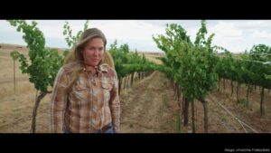 Made in Arizona: Wine industry documentary streams on Apple, Amazon