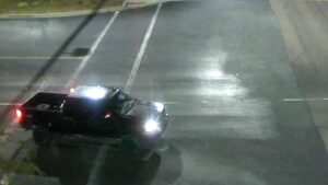 Peoria police search for vandals who caused $30-40K worth of park damage