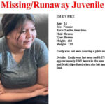 missing mesa teen