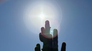 With spring barely underway, Valley could soon see record high temperatures