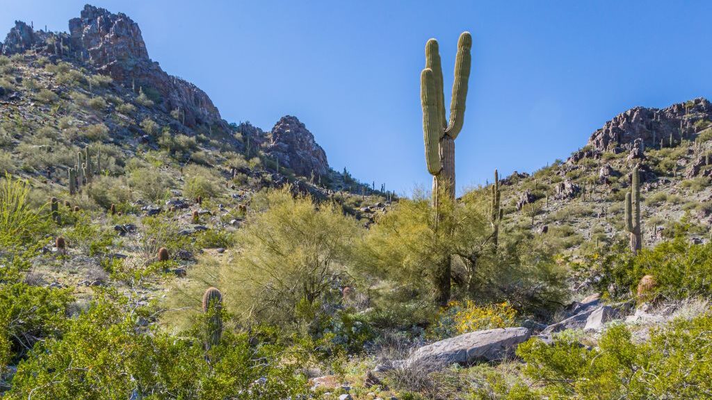 Maricopa County and Phoenix parks, Annual fire ban...