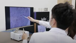 Taiwan-based JelloX Biotech to open US research base in Phoenix
