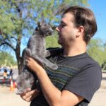 ManGreyCat