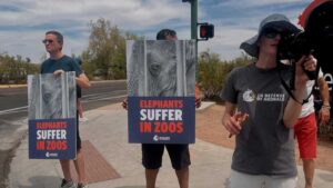 Protesters call on Phoenix Zoo to move lone elephant to a sanctuary