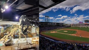 Visit Mesa launches accessibility travel guide to help people with autism