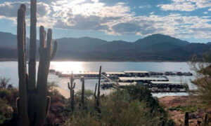 21-year-old who drowned at Bartlett Lake recovered, identified