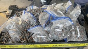 Man accused of attempting to smuggle over 6,000 rounds of ammunition across border