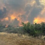 Cody Fire scene