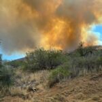 Cody Fire scene