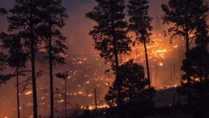 Gov. Hobbs declares state of emergency over Greer Fire in eastern Arizona