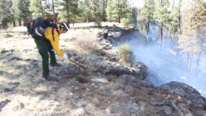 Greer Fire in eastern Arizona nearing full containment after evacuations lifted
