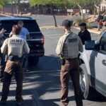 MCSO seized 19 animals from a New River home on May 26, 2025.