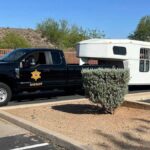 MCSO seized 19 animals from a New River home on May 26, 2025.