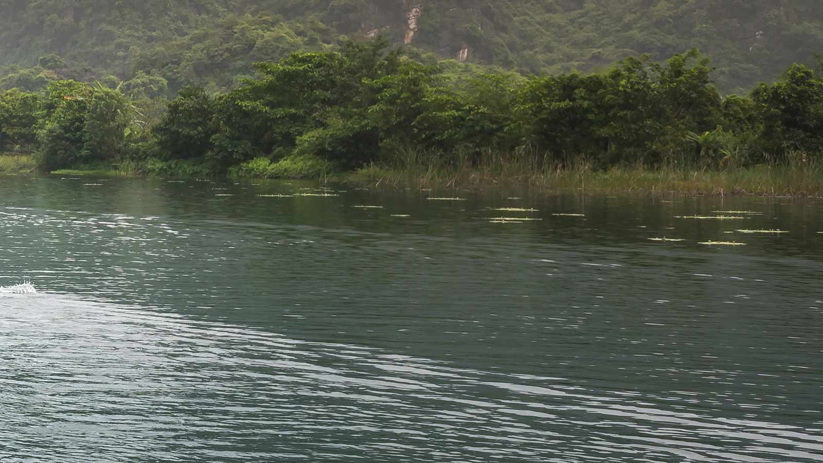 A Salt River tuber died over Memorial Day weekend...