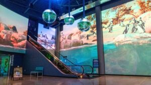 OdySea Aquarium unveils immersive lobby experience