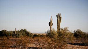Phoenix experiences 1st day of 110-plus temperatures, extreme heat in 2025