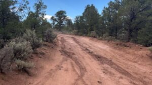 Florida man with dementia lost in northeastern Arizona rescued by DPS troopers