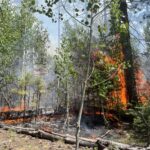 Flames from the Dragon Bravo Fire seen on July 9, 2025. (Inciweb photo)