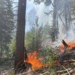 Flames from the Dragon Bravo Fire seen on July 9, 2025. (Inciweb photo)