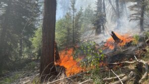 South Rim mayor reminds tourists that Grand Canyon is open for business despite fires
