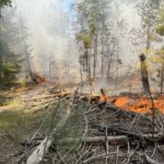 Flames from the Dragon Bravo Fire seen on July 9, 2025. (Inciweb photo)