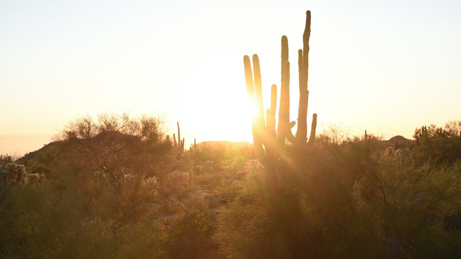 U.S. Rep. Greg Stanton believes that the federal government can help people deal with extreme heat ...