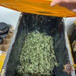 illegal marijuana operation box