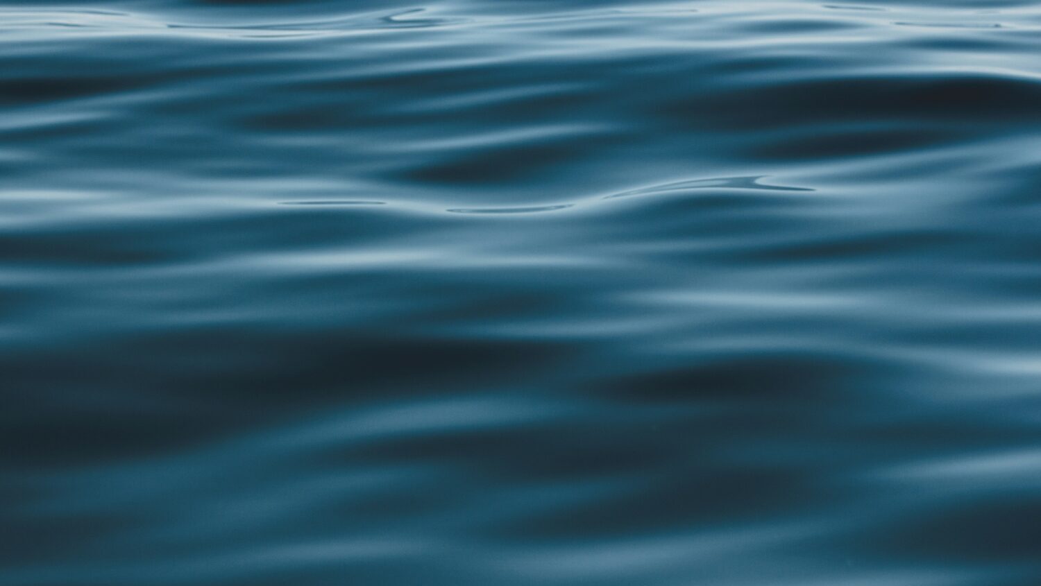 The body of a man was pulled from the Salt River near Mesa on Thursday, authorities said....