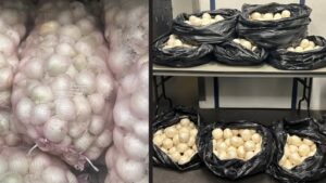 Onions used to conceal meth in massive Chandler drug bust