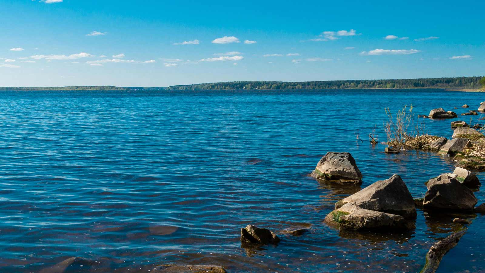 The body of a missing swimmer was recovered from Lake Pleasant on Thursday....