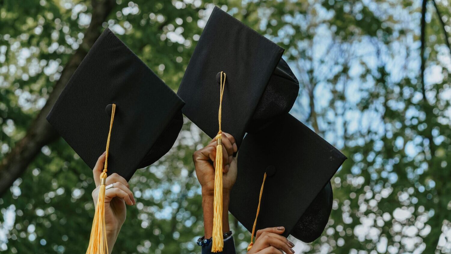 Maricopa Community Colleges (MCC) is breaking records again as it heads into the new school year, m...