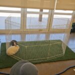 Camp Zoo campers learn about animals, plants, and the world around them. (Shira Tanzer/KTAR News)