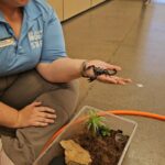 Camp Zoo campers learn about animals, plants, and the world around them. (Shira Tanzer/KTAR News)