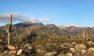 1 man dead after rescue of 3 people in White Tank Mountains