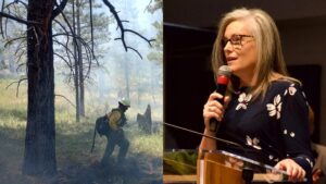 Financial relief available to businesses impacted by Dragon Bravo, White Sage fires