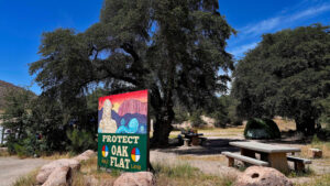 US appeals court halts transfer of Oak Flat land to copper mining company