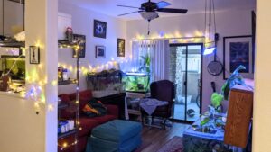 Vice mayor of Phoenix unveils new housing plan to expand supply