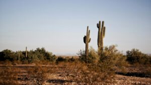 Phoenix matches daily heat record set in 2019