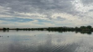 How human-made Tres Rios Wetlands fits into Valley's wastewater recycling process
