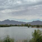 The Tres Rios Wetlands cover nearly 700 acres near 91st Avenue just north of the Salt River. (KTAR News photo/Heidi Hommel)
