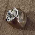 This gold tooth was donated at an Arizona thrift store on Oct. 25, 2025. (The Salvation Army Southwest Division photo)