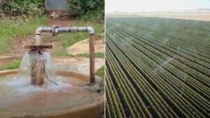 Urgent action needed to save Arizona community sinking due to groundwater pumping, official says