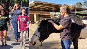 New equine massage therapy certificate available at Scottsdale Community College
