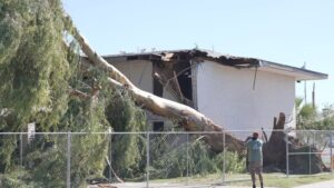 Tempe providing resources for disaster victims after devastating microburst