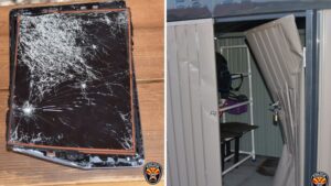 3 teens accused of vandalizing Chandler elementary school, causing $5,000 in damage