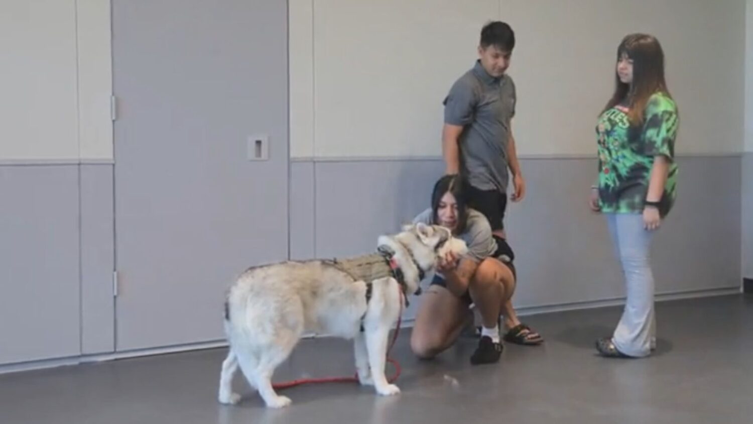 Know a service member worried about their pet during deployment? The Arizona Humane Society’s Pro...