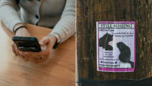 Arizona Humane Society warns animal owners about lost pet scam