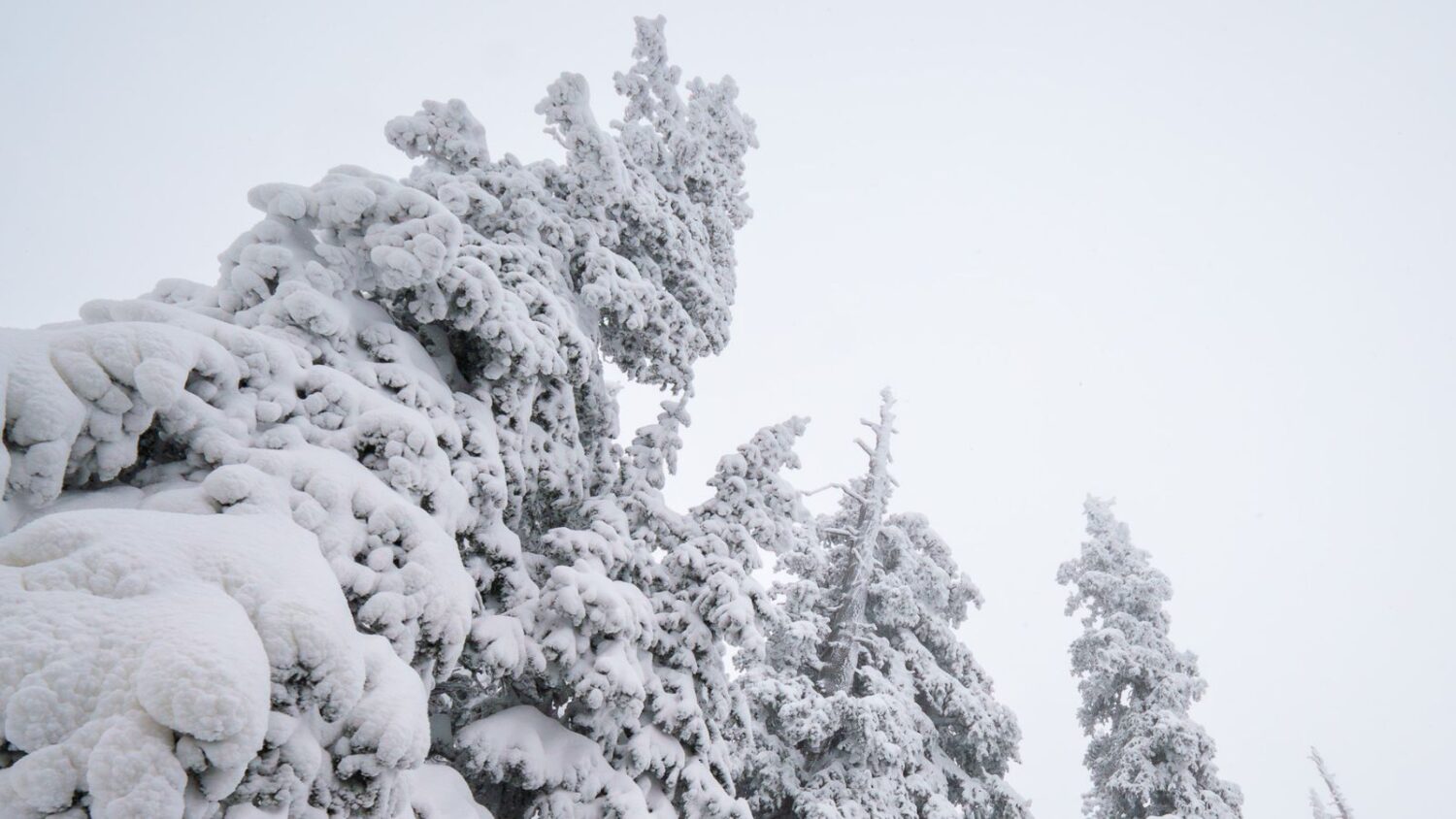Arizona Snowbowl opened 1 day earlier than scheduled due to heavy snows...