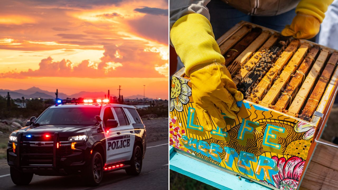 A car transporting bees hit a pedestrian and then crashed into a pole on Saturday morning in Mesa, ...